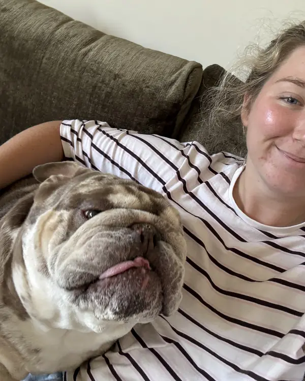 British bulldog, winner of Selfie Star