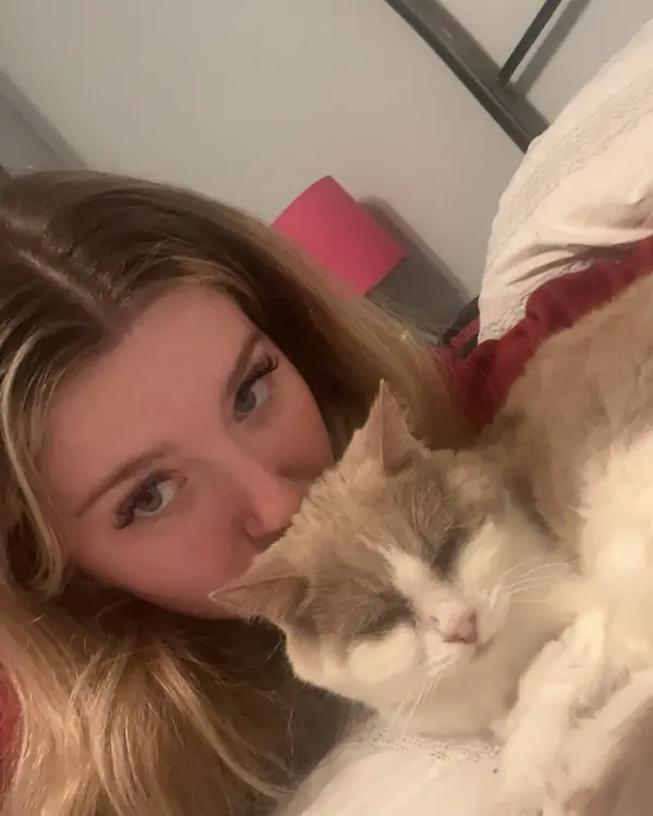 Fluffy cream cat, winner of Sleepiest Selfie