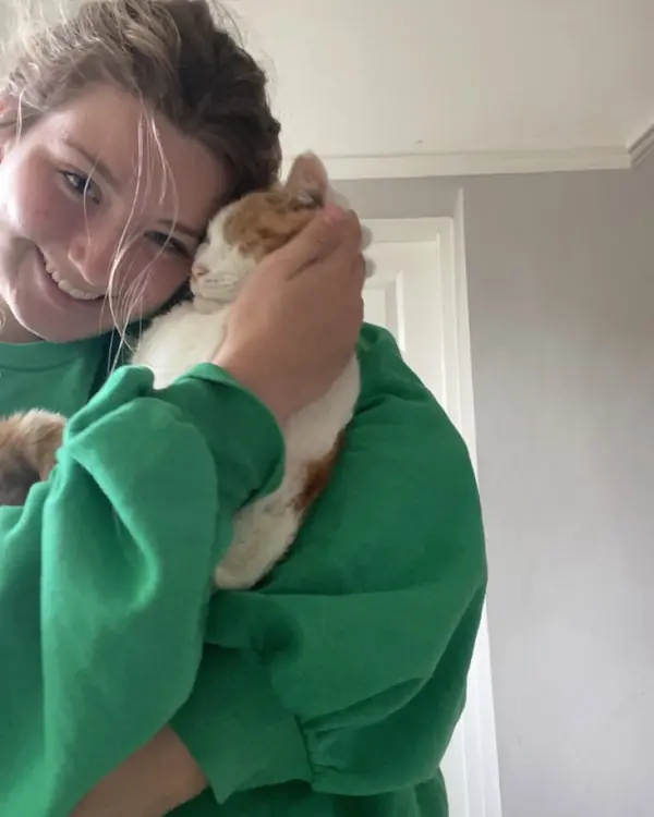 Ginger & white cat, winner of Loudest Purr