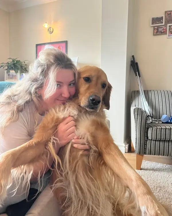 Golden retriever, winner of Hug of the Year
