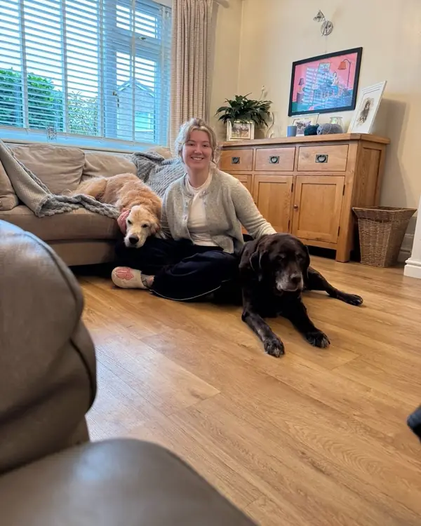 Golden retriever & black labrador, winner of Best Double Act