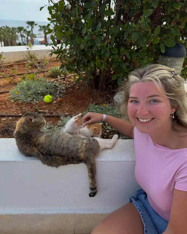 Tabby cat, winner of Friendliest Garden Greeter